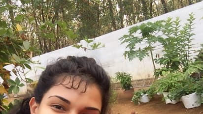 ഹണിറോസിന് പ്രിയം ചെടികളോട്, ബ്ലാക്ക്ബെറി കായ്ച്ചതിന്റെ ത്രില്ലില് താരം, ചിത്രങ്ങള് കാണാം