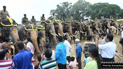 45 ದಿನಗಳ ರಾಜಾತಿಥ್ಯ ಮುಗಿಸಿ ಕಾಡಿಗೆ ಮರಳಿದ ಅರ್ಜುನ ನೇತೃತ್ವದ ಗಜಪಡೆ