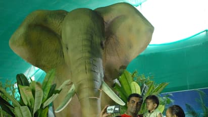 ಆನೆ, ಹುಲಿ, ಸಿಂಹ, ಹೆಬ್ಬಾವು ಬೆಂಗಳೂರಿನಲ್ಲೇ ನೋಡಲು ನಾಳೆ ಕೊನೆಯ ದಿನ