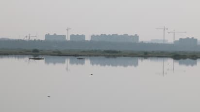 Varthur Lake: From a scenic beauty to toxic froth