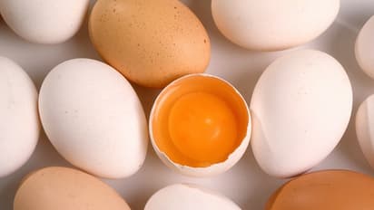 Foods that are good and bad for your brain