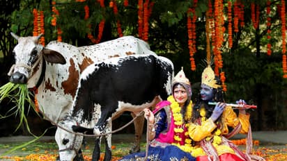 கண்ணனை அழைக்க தயக்கமா.. எப்படி கூப்பிட்டால் கண்ணன் வருவான்!