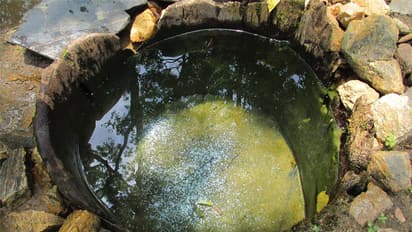 Catching water where it falls: unique Kerala methods
