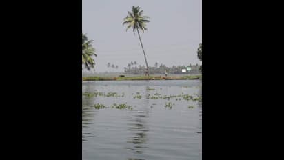 Why this tiny Kerala isle was listed in NatGeo's most travel-worthy spots?