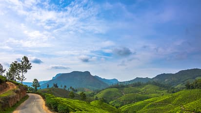 পার্টনারকে নিয়ে অফবিট রুটে ভ্রমণ, কম খরচে এবার ঘুরে আসুন সিকিমের এই গ্রাম, নিস্তব্ধতা-সৌন্দর্যের চমক
