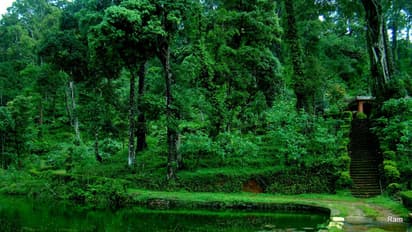 Kerala's stunning off beat destinations that became popular after movies