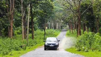 Maharashtra Road Trip Guide - Witness Jaw-Dropping Views!