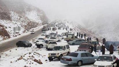 Himachal Pradesh: Around 300 people stranded in Lahaul and Spiti rescued