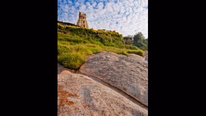 ನೀವು ಪ್ರಕೃತಿ ಪ್ರೇಮಿಗಳಾ? ಬೆಂಗಳೂರಿನ ಈ ತಾಣಗಳಿಗೆ ಮಿಸ್ ಮಾಡ್ದೇ ಭೇಟಿ ನೀಡಿ