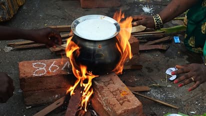 பொங்கல் எந்த திசையில் பொங்கினால் என்ன பலன்?