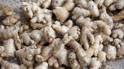 8 secret ingredients hiding in your kitchen that will help you lose weight