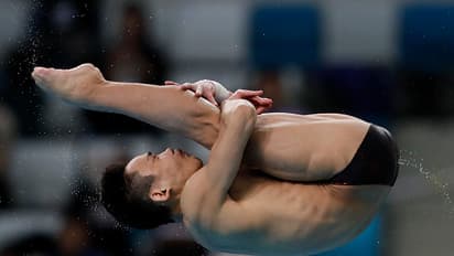 10 well-timed diving images you must see