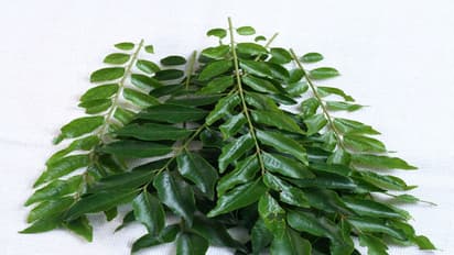 5 pictures that proves Malyalees see the world quite differently from us