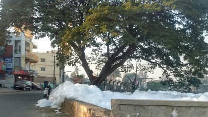 Bengaluru's toxic lakes greet rich NRIs on 'Pravasi Diwas'