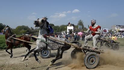 India's rural Olympics has 70-year-olds, disabled, bulls