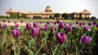 రాష్ట్రపతి భవన్లోని మొఘల్ గార్డెన్స్ పేరు మార్చిన కేంద్రం.. ఇకపై అది ‘‘అమృత్ ఉద్యాన్’’