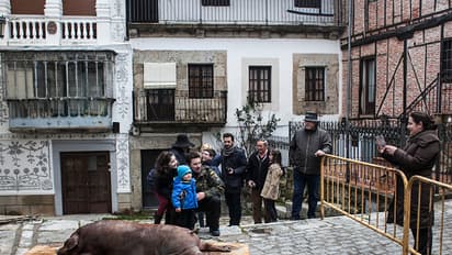 La Matanza: A Traditional Spanish pig slaughter