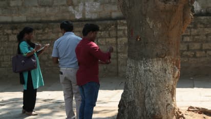 Rise up, Bengaluru, only you can save these trees on Jayamahal Road