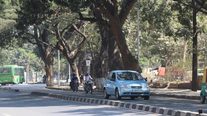 ಮರಗಣತಿ: 10 ತಿಂಗಳಾದ್ರೂ ಸಮಿತಿಯೇ ರಚನೆಯಾಗಿಲ್ಲ; ಕೋರ್ಟ್ ಗರಂ