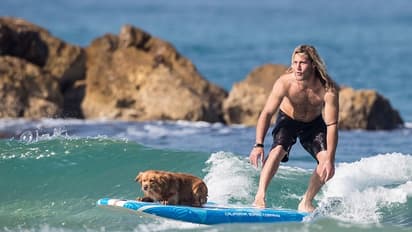 10 offbeat activities to do