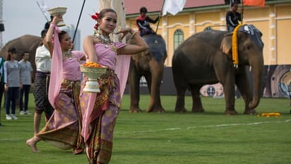This Elephant Polo in Bangkok will blow your Mind.