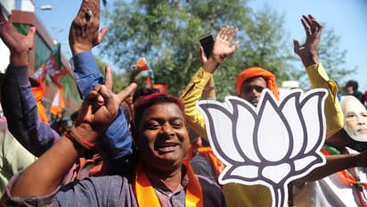 In Pics: Modi wave bring Saffron Holi from Himalayas to Hindi heartland