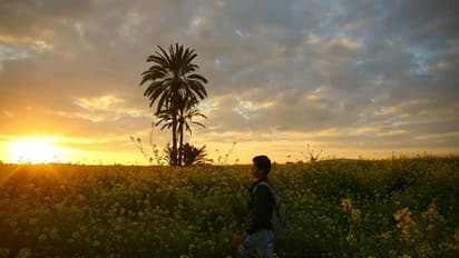 In pics: World celebrates the arrival of spring season