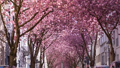 Check-out the seven most beautiful streets in the world