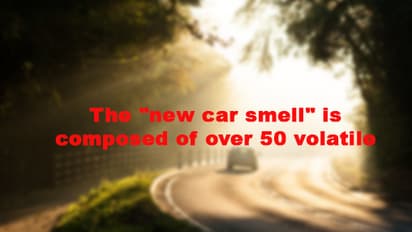 These five facts about auto will leave you shocked