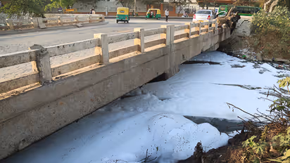 NGT order effect: BBMP, BDA demolish Varthur lake encroachments in Bengaluru