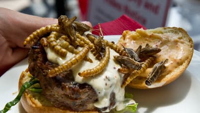Insects - They are what they are for dinner