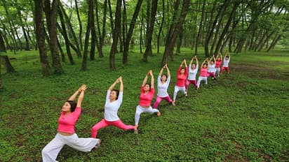 In pics: Yoga enthusiasts practice at a wetland in China