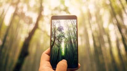 Snapseed to Adobe lightroom: 10 best photo editing apps available in Android and iOS in 2021