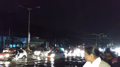 In Pics: Rains bring uprooted trees, jams and havoc to Bengaluru