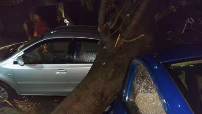 At least 53 people killed across India due to dust storms and thunderstorms