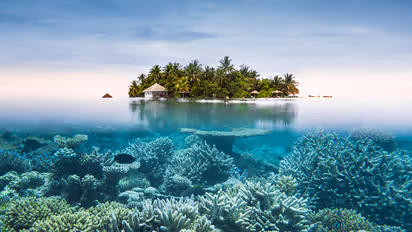 Underwater secrets revealed in 15 photos