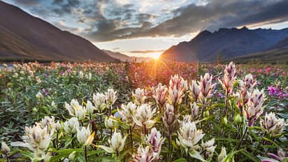 Bizarre: 7 places where you can see sunset at 12 am