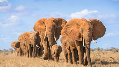 10 countries where Indians can travel without visa