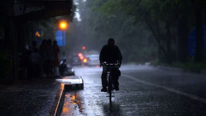 No respite from heatwaves as monsoon is delayed: IMD