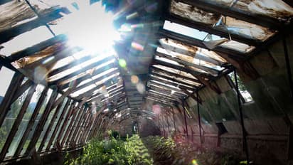 देश ने अक्षय उर्जा में 100 गीगावाट की ऐतिहासिक उपलब्धि की हासिलः सीआईआई