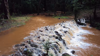 Monsoon in Kerala kills 10, heavy rains to lash the state till June 13