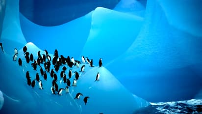 These 20 photos will make you want to visit Antarctica