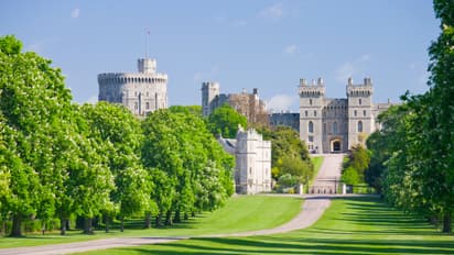 సౌరవ్ గంగూలీ ఆ రోజు భయంతో పారిపోయాడు... షేన్ వాట్సన్ కూడా జడుసుకున్నాడు... ఇంతకీ ఆ రూమ్లో ఏముంది...