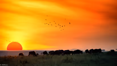 சூரிய அஸ்தமனத்திற்குப் பிறகு இப்படி பண்ணுங்க...வாழ்க்கையில் மகிழ்ச்சி வரும்...!!