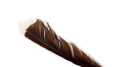 10 things you won't believe are so expensive