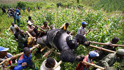 World photography day 2017: 10 images which speak more powerfully than words