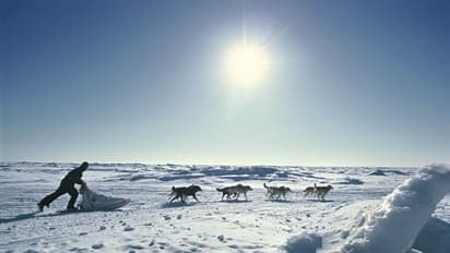 In pics: 15 reasons why you should visit and experience Alaska this year