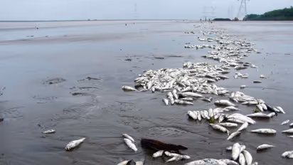 Dare to visit these 15 haunted places in the world that can make you shiver