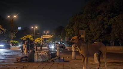 ಸಾಕು ಪ್ರಾಣಿಗಳಿಂದ ಕೊರೋನಾ ಹರಡಲ್ಲ, ಬೀದಿಗೆ ಬಿಡಬೇಡಿ ಎಂದರೂ ಜನ ಕೇಳುತ್ತಿಲ್ಲ!