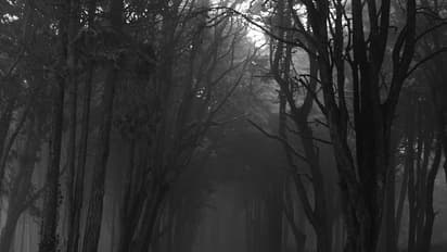 5 haunted places in Kerala where nobody dares to go